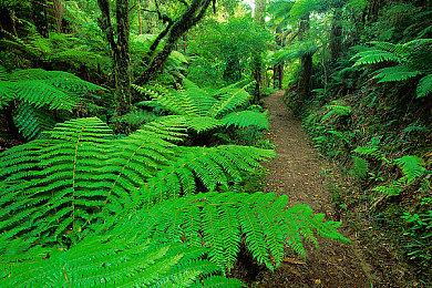 效果惊悚 《漫威蜘蛛侠2》3D广告牌现身美国街头